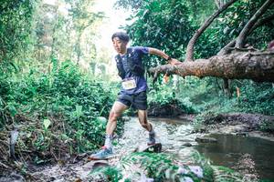 BIB: 
                            <button type="button" onclick="openModal(25431966)" class="btn btn-primary btn-sm float-right btn-popup" data-toggle="modal" data-target=".modal-high-quality">
                        <i class="fas fa-shopping-cart"></i> Add to Cart
                    </button>
                                            <button type="button" onclick="isThisMe(25431966, true)" class="btn btn-success btn-sm float-right btn-popup btn-isme hidden" data-toggle="tooltip" data-placement="bottom" title="นี่คือรูปของคุณใช่ไหม คลิกที่นี่เพื่อเอาเข้าอัลบั้ม">
                        <i class="fas fa-plus"></i> Add to album
                    </button>
                    <button type="button" onclick="isThisMe(25431966, false)" class="btn btn-warning btn-sm float-right btn-popup btn-isnotme hidden">
                        <i class="fas fa-ban"></i> Remove from album
                    </button>